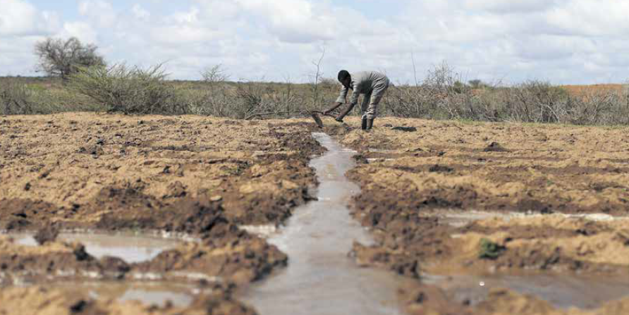 Agriculture terres irrigation labour