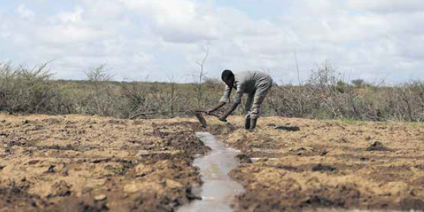 Agriculture terres irrigation labour