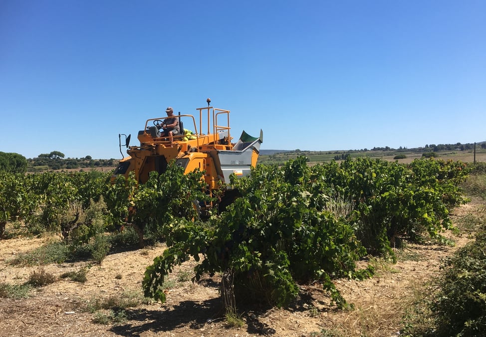 Le Sitevi, salon leader dans l'agro-fourniture et l'agro-équipement des filières viticoles, arboricoles et oléicoles, accueillera en novembre à Montpellier quelque 1.000 exposants, dont 240 nouveaux, signe d'une certaine vitalité malgré la crise qui frappe la viticulture.