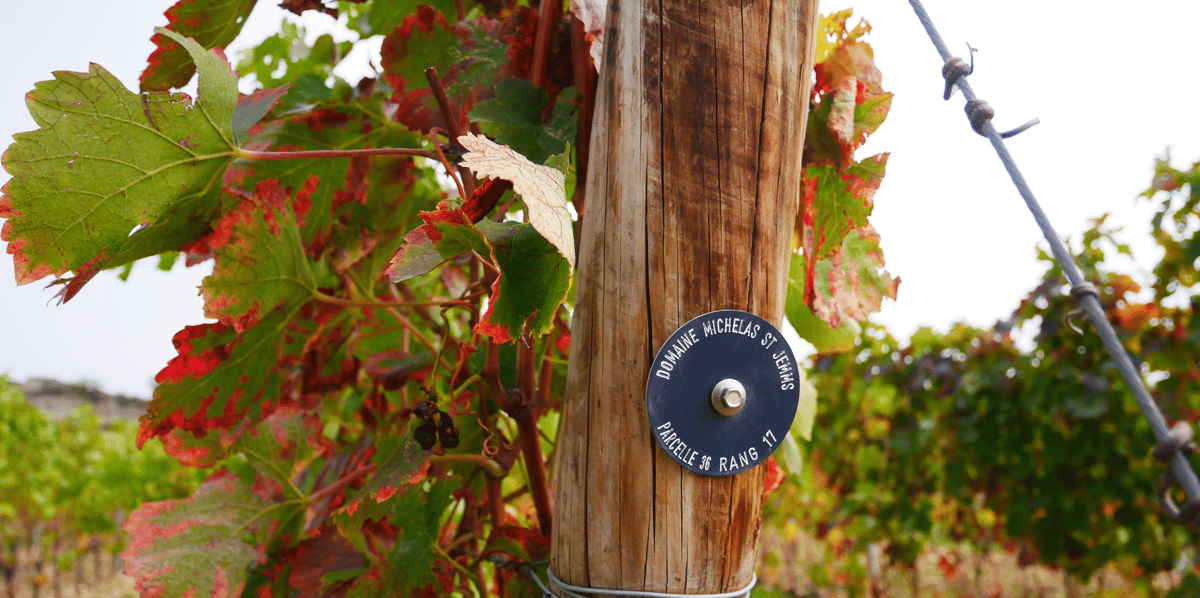 Domaine Michelas St Jemms