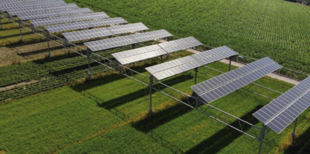 Agrivoltaïsme