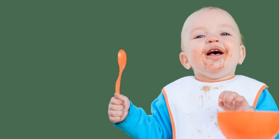 startup Les petits plats de Marius