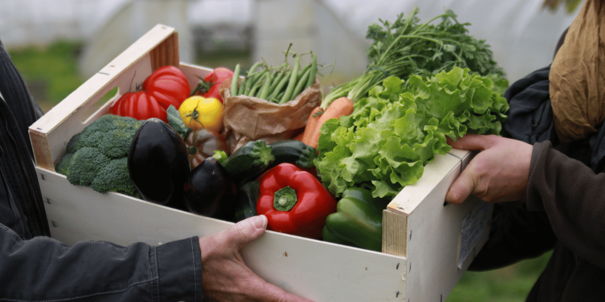 "La situation est paradoxale au moins par l'iniquité qu'elle provoque : les nouvelles formes d'agricultures vertueuses sont réduites à rechercher par elles-mêmes d'autres alternatives de production et de distribution, alors que les moins vertueuses, fragilisées par le recours désormais impossible à la main-d'œuvre de l'Europe de l'Est, peuvent compter sur l'appui du ministère de l'agriculture pour recruter les volontaires aux champs."