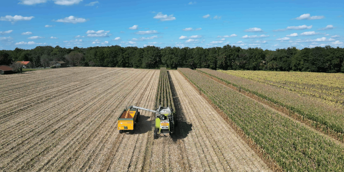 La coopérative Maïsadour a des filiales dans 50 pays sur les quatre continents et compte plus de 4.300 salariés et plus de 5.000 agriculteurs adhérents.
