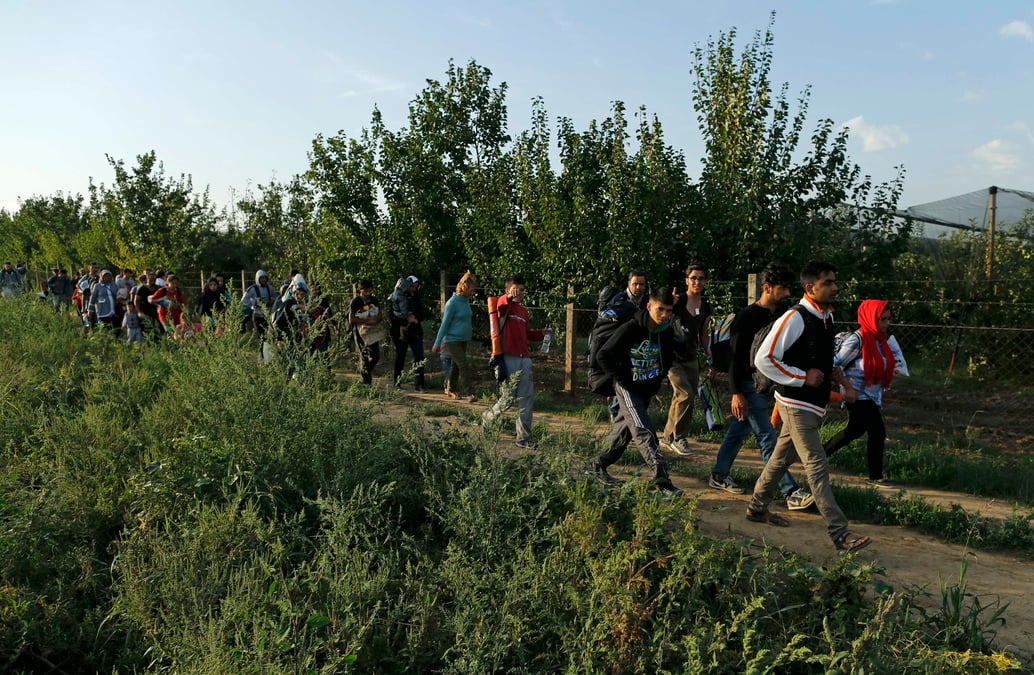 Des dizaines de migrants se dirigent vers la croatie
