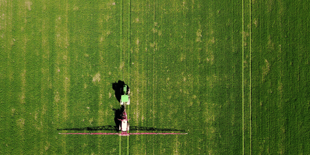 L'ue dedommagera les agriculteurs irlandais en cas de "no deal"