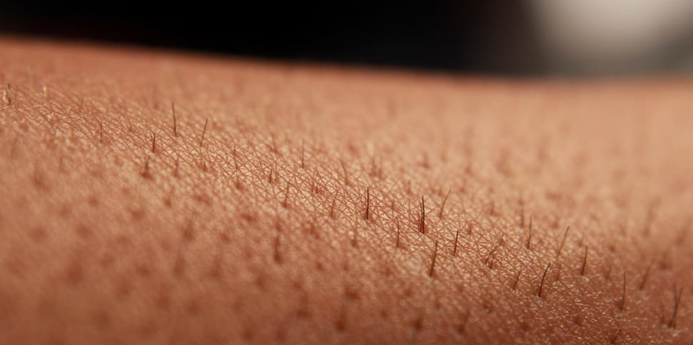Grâce à un véritable catalogue de cellule, LabSkin peut créer à la demande tout type de peaux humaines.