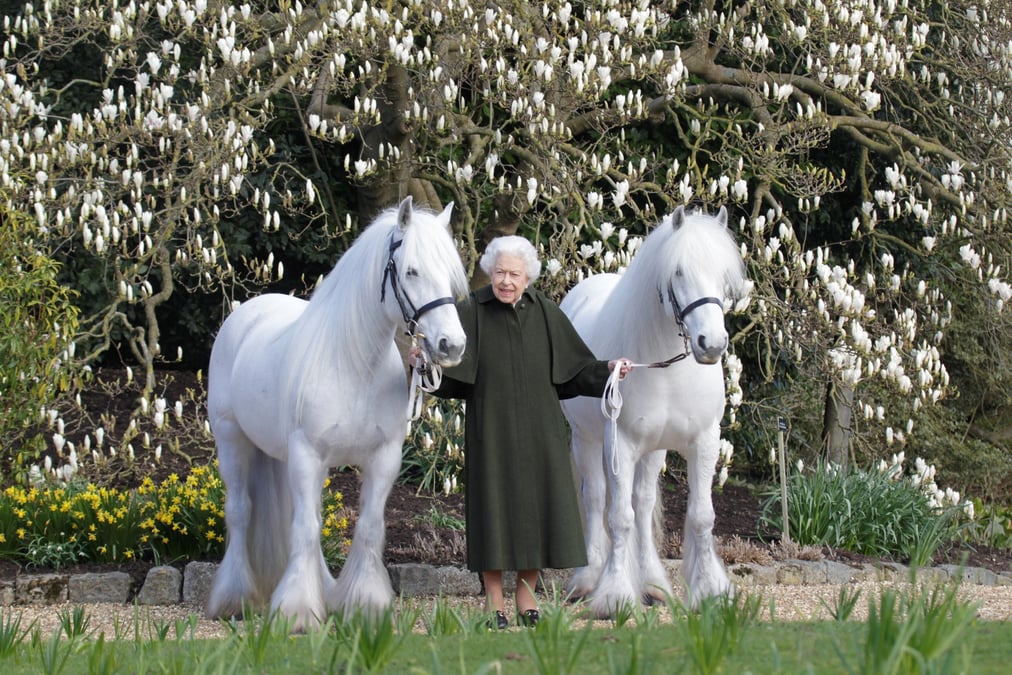 Des salves d'honneur pour les 96 ans de la reine elizabeth ii d'angleterre
