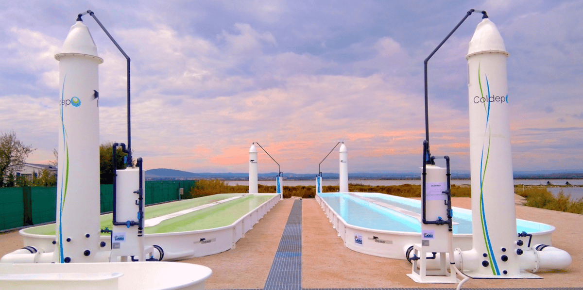 La solution technologique de traitement de l'eau développée par Coldep a d'abord été déployée dans le secteur de l'aquaculture et de la conchyliculture.