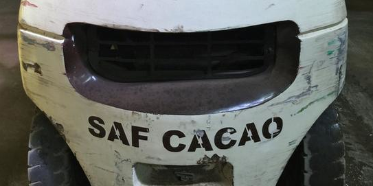 cacao
