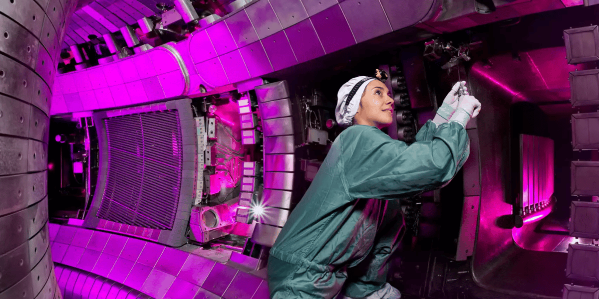 Institut Max Planck de physique des plasmas