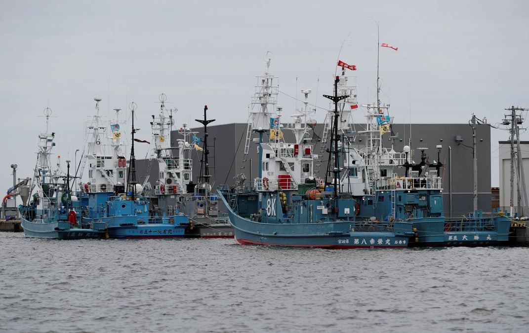 Le japon s'apprete a reprendre la chasse commerciale a la baleine