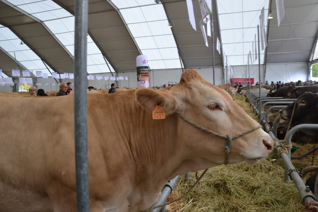 Sommet de l'elevage 2019