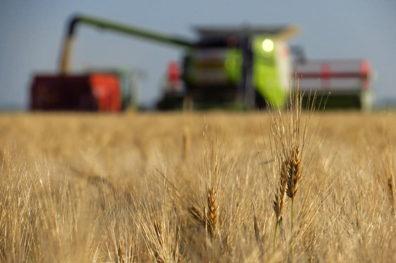 Agriculture: macron sevira en l'absence d'accord en septembre