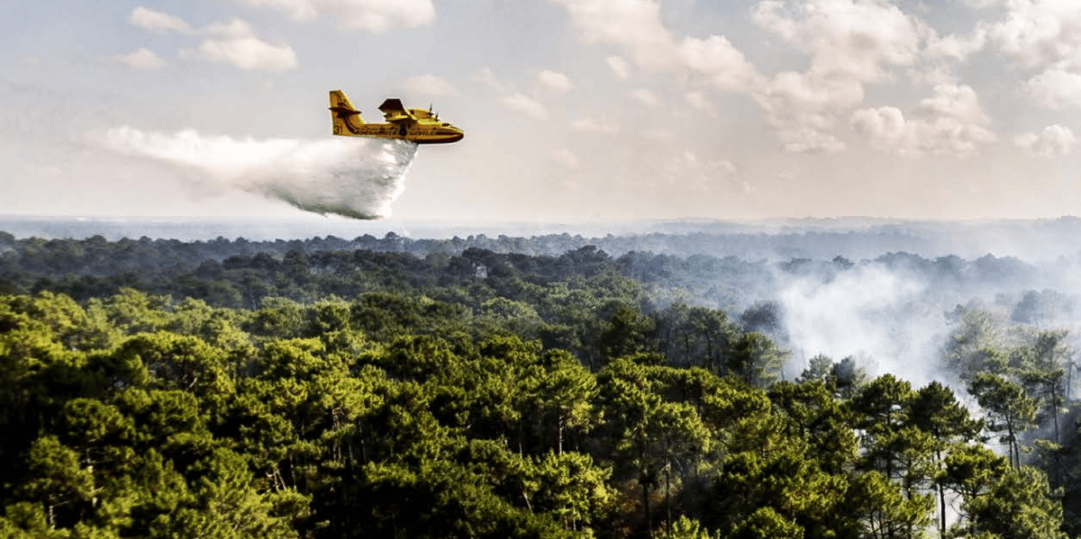 canadair incendie forêt