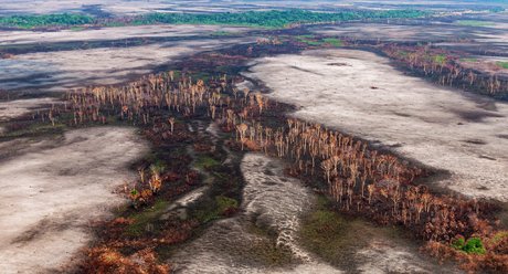 Amazonie, déforestation, Mato Grosso, Brésil, Jair Bolsonaro