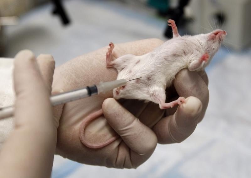 Découverte d'une molécule prometteuse contre Alzheimer