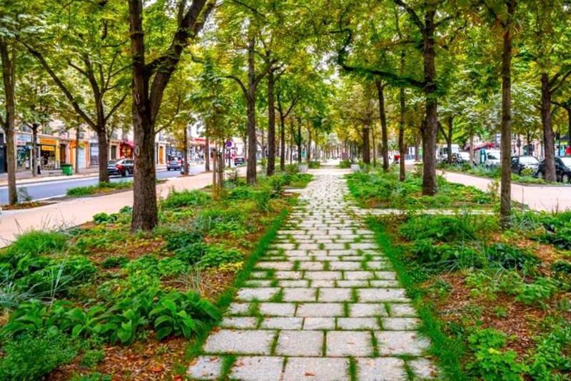 foret urbaine