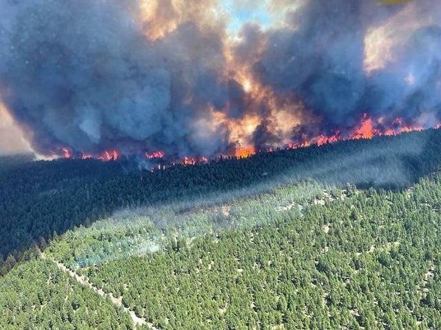 canada fôret feu
