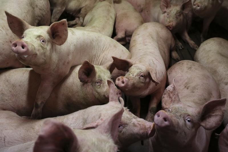 Manuel valls demande le respect des accords sur la viande de porc