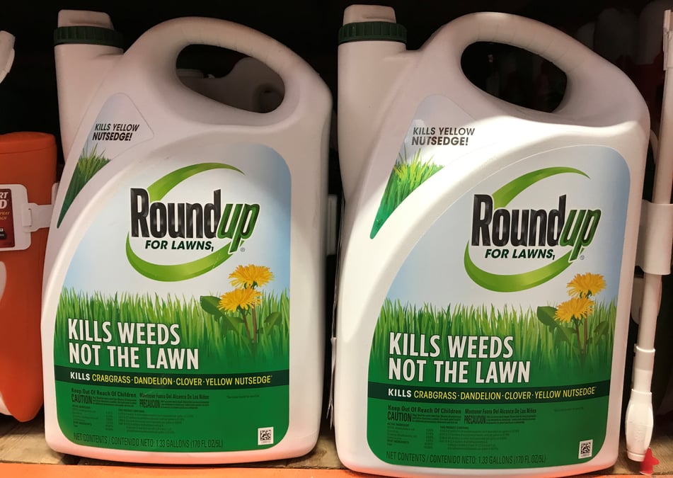 Roundup: monsanto fait appel de sa condamnation aux usa