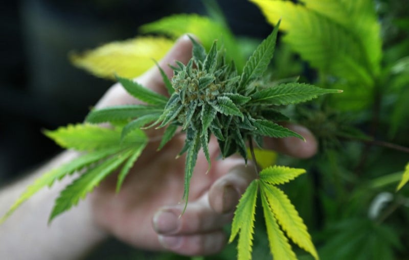 1,4 tonne de cannabis saisie a la frontiere franco-espagnole
