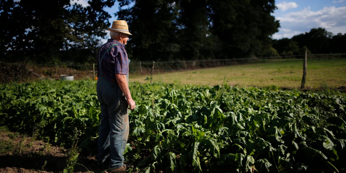 Une annonce plus que bienvenue pour le secteur du bio, dont le marché a commencé à se retourner en 2021 après des années de croissance à deux chiffres.