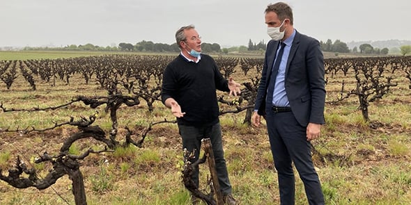 Michael Delafosse (président de la Métropole de Montpellier) dans les vignes suite à l'épisode de gel (avril 2021)