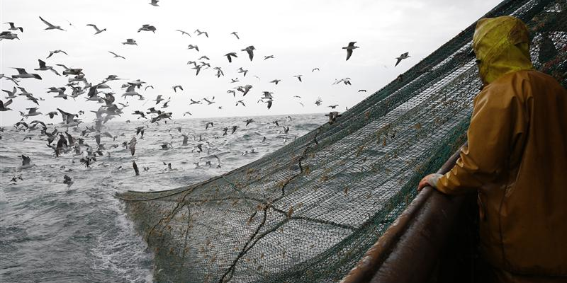 Le Parlement européen contre l'interdiction de la pêche profonde