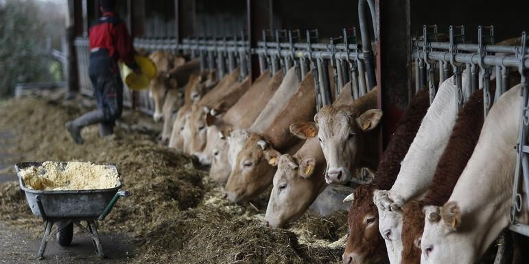 Reunion a bruxelles des ministres de l'agriculture de l'ue