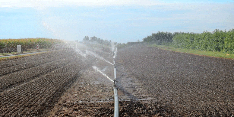 irrigation eau