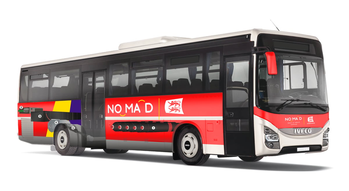 Bus