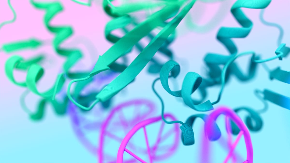 AlphaFold 3 combine des architectures de deep learning (apprentissage profond) avec des modèles de diffusion.