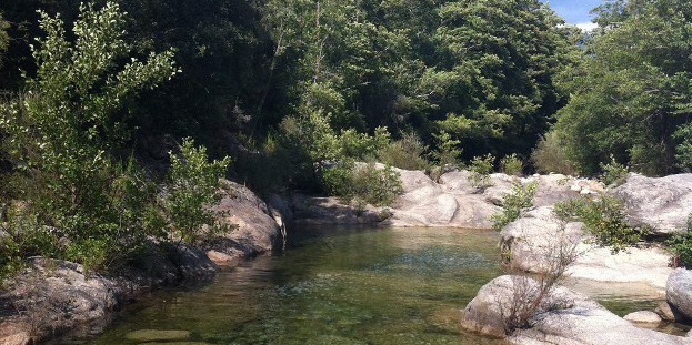 Sur le bassin Rhône-Méditerranée en Occitanie, 45% des rivières sont en bon état écologique, selon le rapport 2022 de l'agence de l'eau.