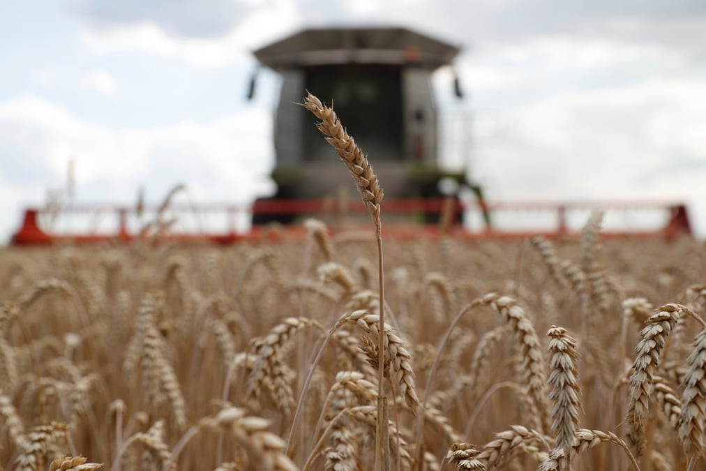 Les prix des denrees alimentaires ont de nouveau baisse en juillet, selon la fao