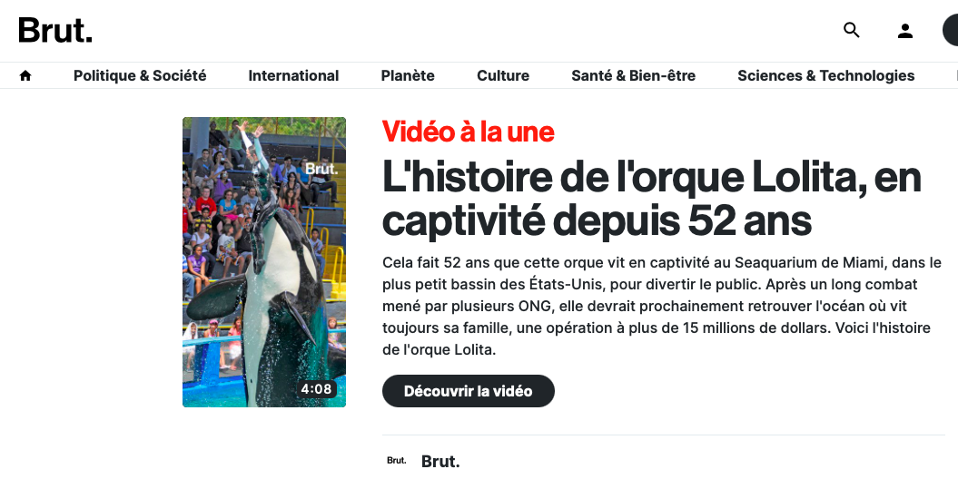Brut