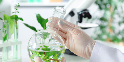 L'entreprise gardoise Sevene défend une approche intégrée de la chaîne de production, depuis la culture des plantes médicinales jusqu'à la fabrication des médicaments homéopathiques dans ses locaux de Saint-Hippolyte-du-Fort.