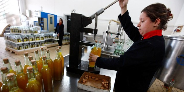 Agriculture huilerie Algérie transformation conditionnement