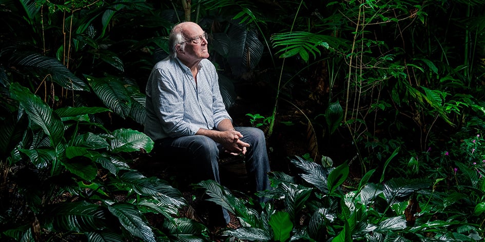 Pour le biologiste, « il est crucial de préserver ces immenses puits de carbone ».