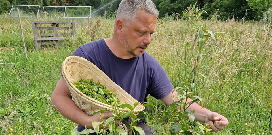 David Macq dans ses plantations de la ferme de Bruguerolle, dans le Gard.