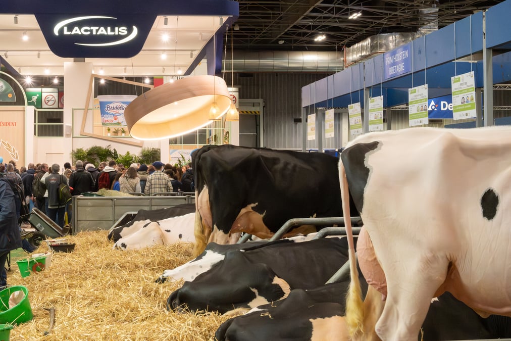 Selon le syndicat agricole majoritaire, cette décision représente « une déflagration pour le milieu laitier ».