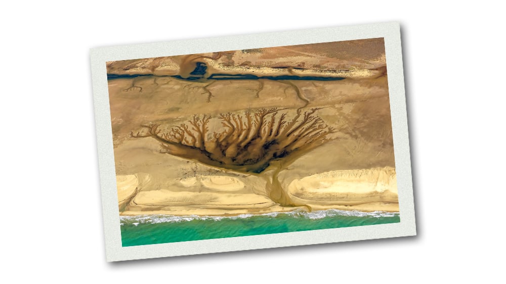 La Franqui est l'un des derniers graus naturels de la Méditerranée.