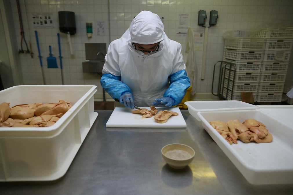 foie gras