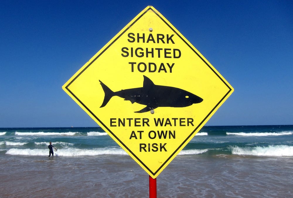 Australie-un nageur tue par un requin pres de sydney