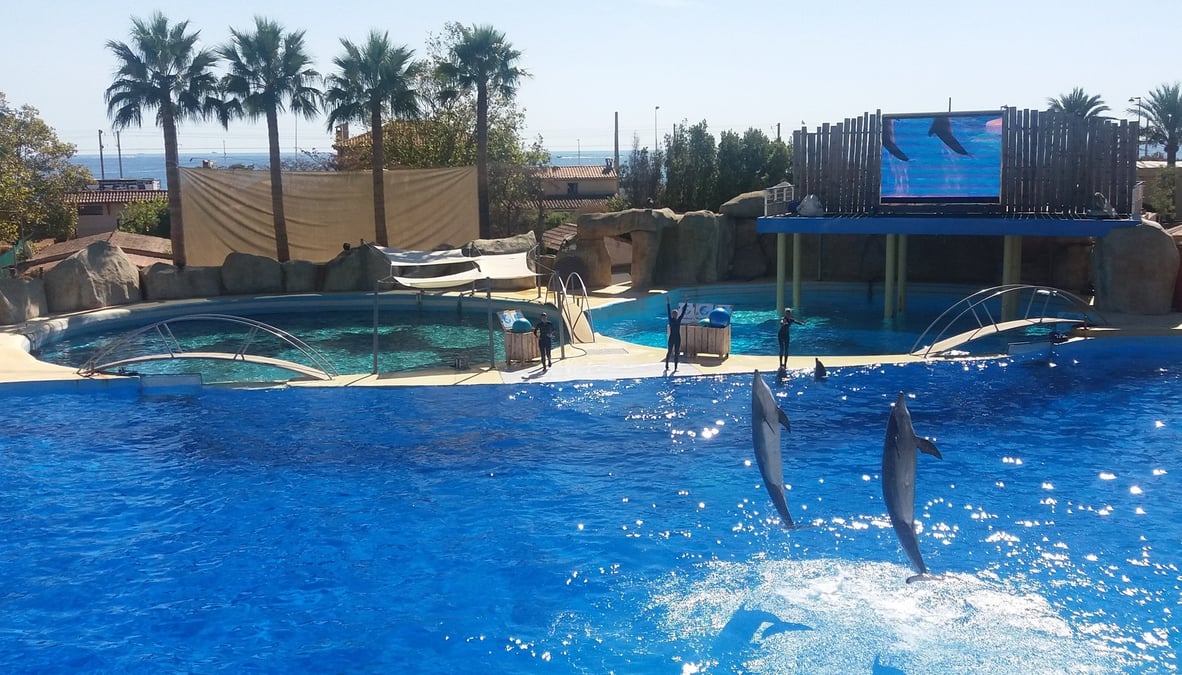 Marineland, qui a longtemps été le premier employeur saisonnier des Alpes-Maritimes, fermera ses portes début 2025.