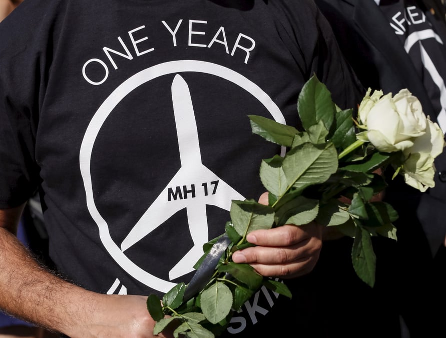 Possibles fragments de missile russe dans les debris du vol mh17