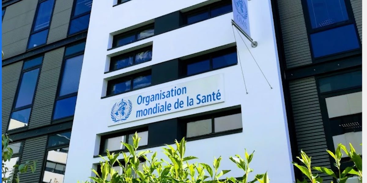 L'Académie de l'OMS, qui vise à former des professionnels de santé du monde entier grâce à des formations de haut niveau, a été inaugurée le 17 décembre 2024 en présence du président de la République, Emmanuel Macron.