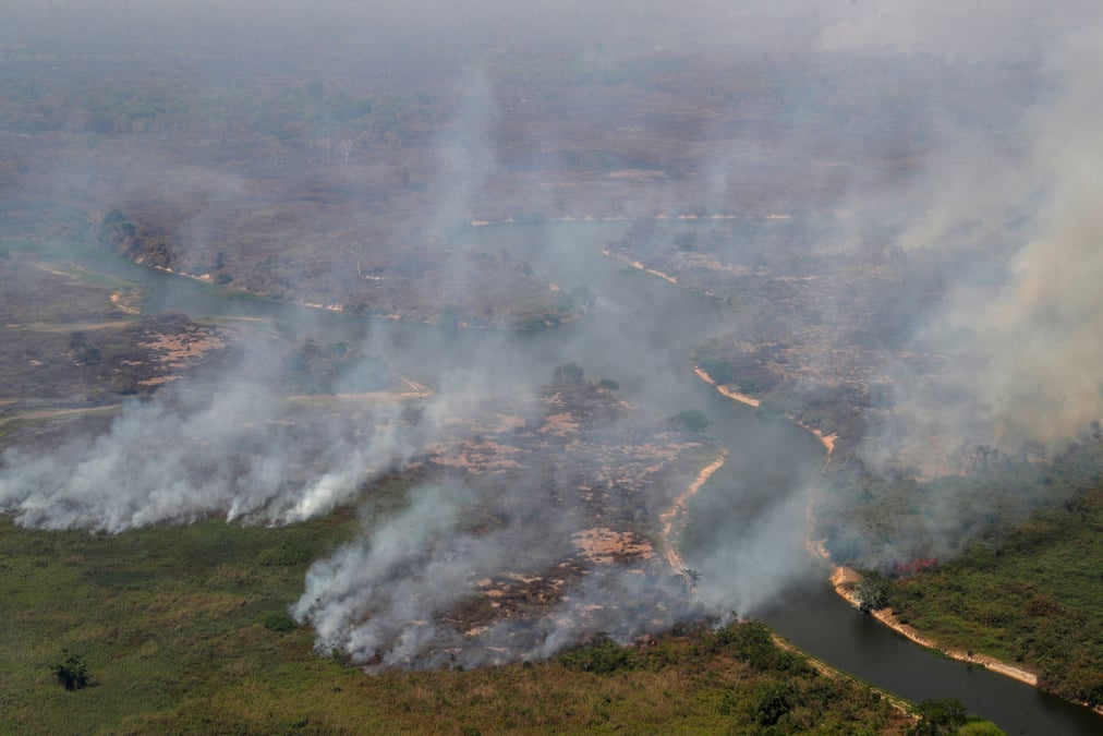 Le bresil dit qu'il arretera de lutter contre la deforestation, puis se ravise