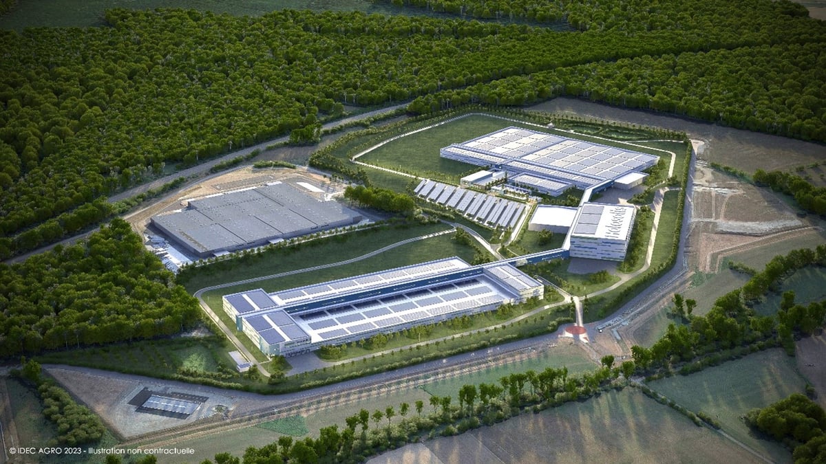 Holosolis prévoit de mettre en route une usine de 180 000 m² consacrée à la fabrication de panneaux photovoltaïques. (Photo d'illustration.)