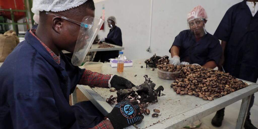 anacarde noix de cajou cita cote d'ivoire